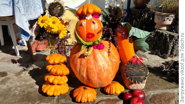 Тётушка Тыква открывает парад моих любимчиков!