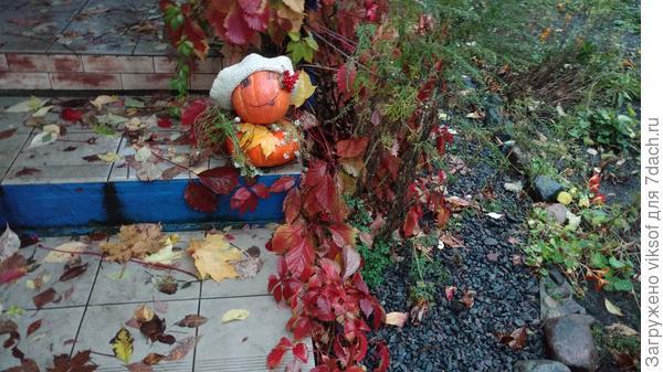 Осень без тыквы - грустная Осень!