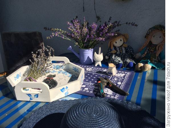 А лаванда то моя, вырастила сама!