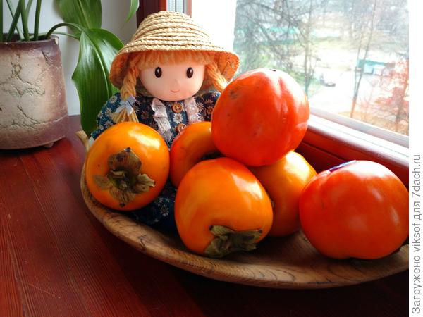 Здоровья тебе крепкого на доооооооооолгие и счастливые годы!