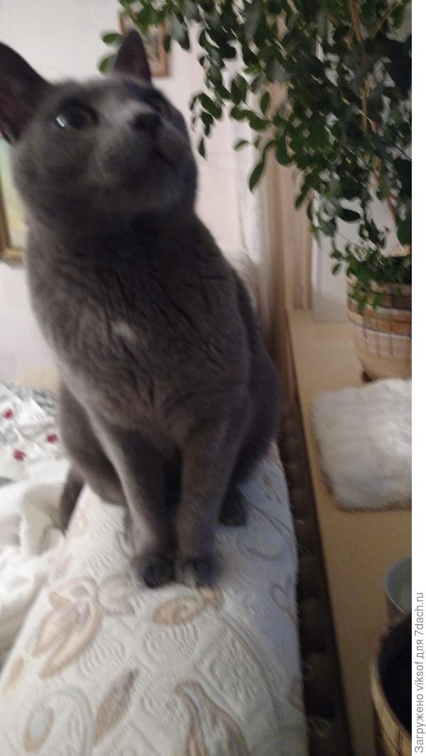 Витас: и от меня поздравления принимайте!