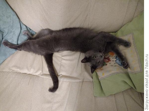 Фигурное лежание