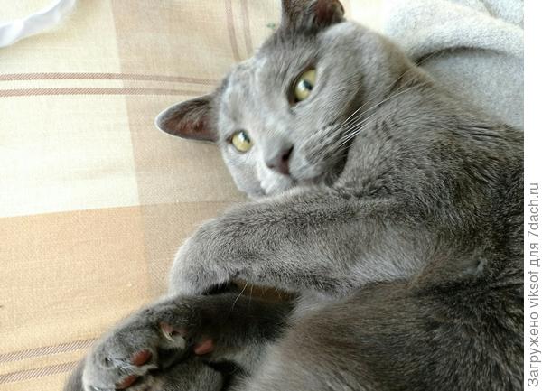 Саша, мы с Витасом тебе желаем скорейшего выздоровления!