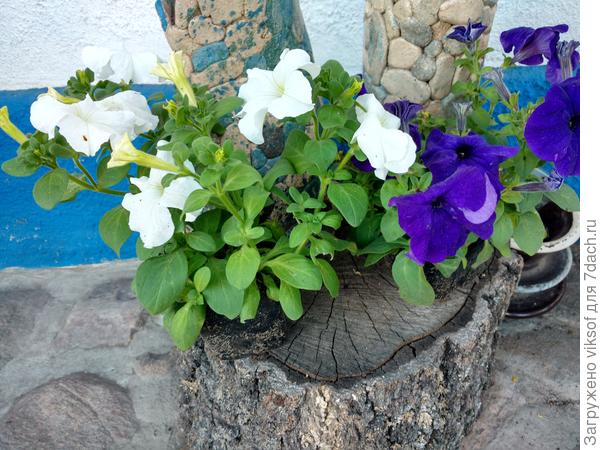 А это мое любимое сочетание красок