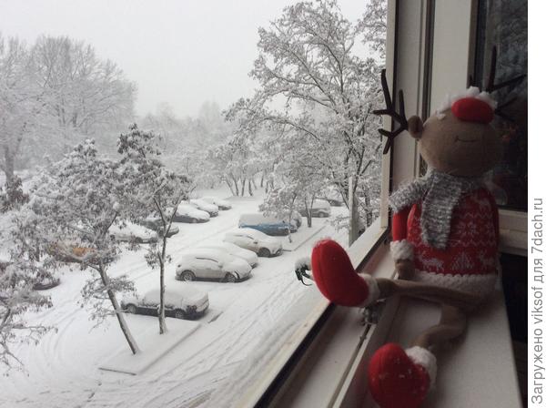 Вот как можно было усидеть в такое утро...вот и пошла вытаптывать!