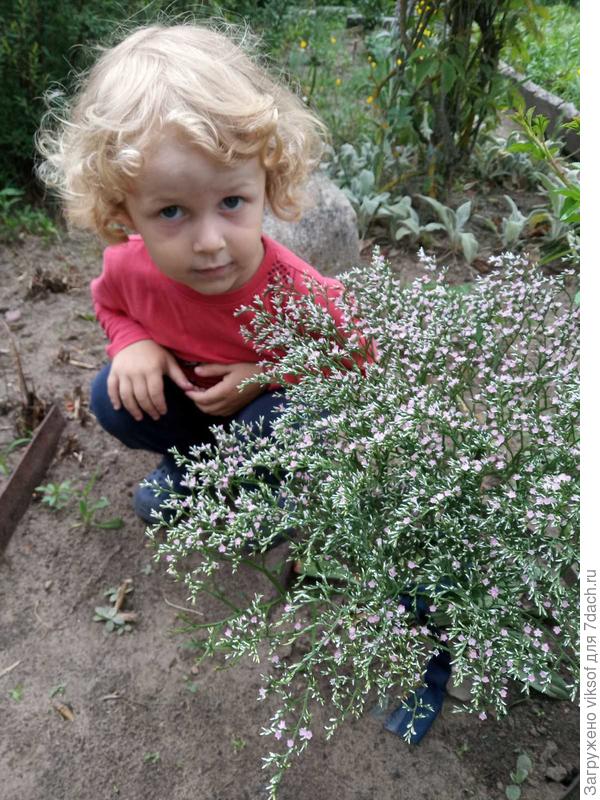 И её  внучонок будет ждать!