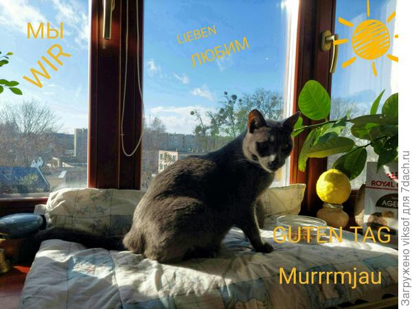 Я поняла, Юленька, спасибо!