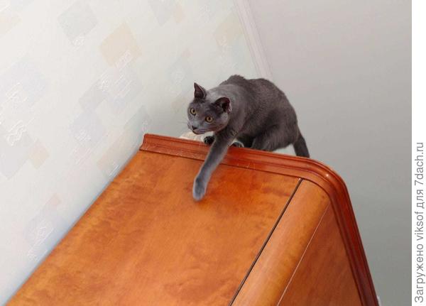 Без меня не начинайте, лучше двери открывайте