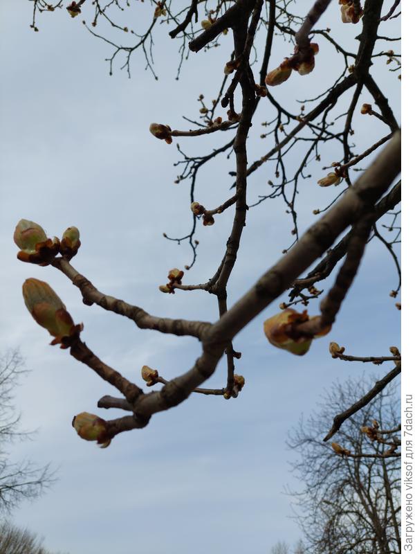 Я же права, что к тебе, Наташенька, пристроилась...