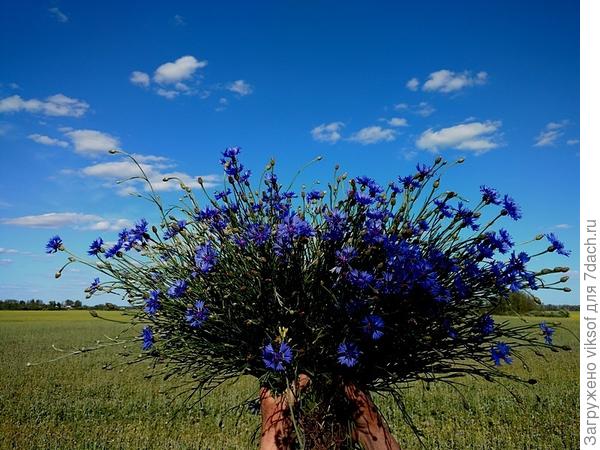 Мне Х-О-Р-О-Ш-О на моей даче и время для отдыха я всегда нахожу! Всё, что я успею и смогу сделать ТО и моё
