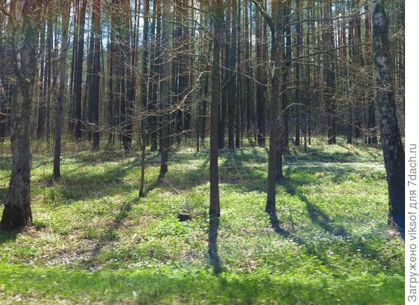 Из окна да на скорости фотография получилась не очень, но настроение есть  я не прощаюсь, до завтра!