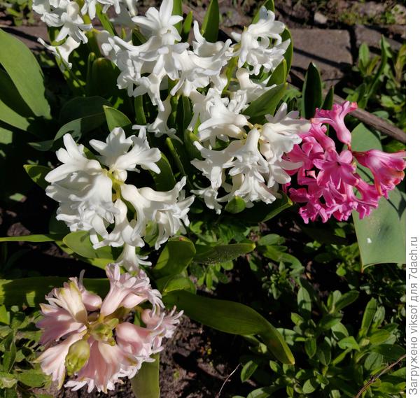 В красивое время твой, Мариночка, День рождения!