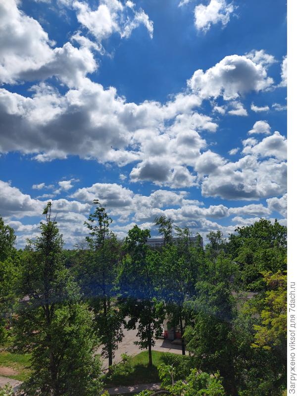 Лето пришло!