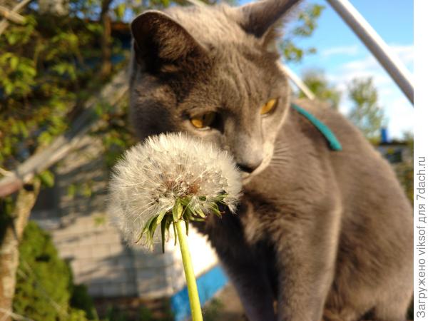 С нежностью к тебе Я и мой Витас