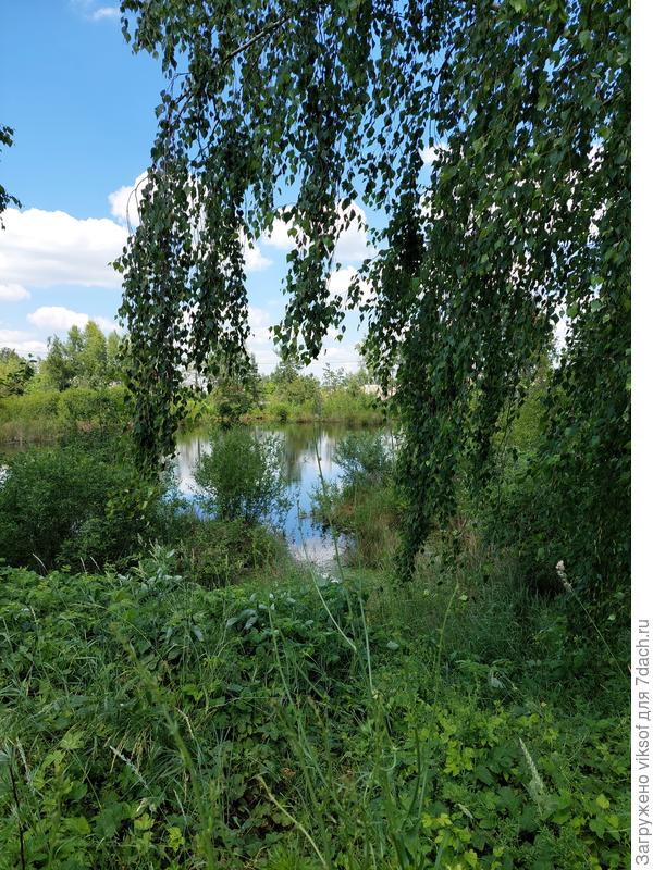 С благодарностью из Беларуси