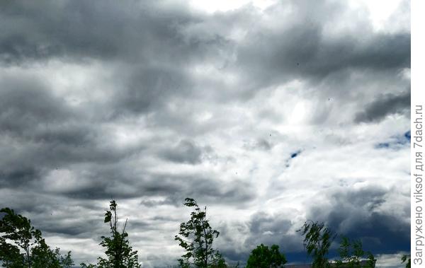 Лишь бы небо было мирным!