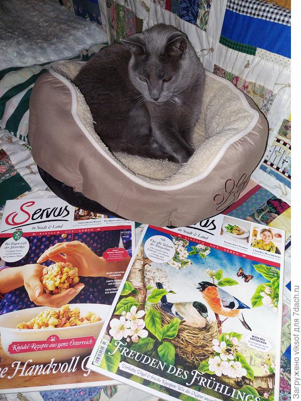 В дождь любит почитать и чаще на немецком, в хозяина - переводчика пошёл