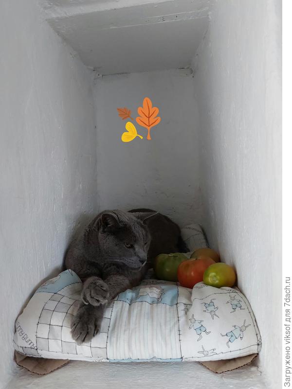 А любимое местечко осеннее - это печурка, конечно