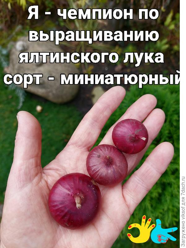 Первенство за мною, неужто у кого-то мельче вырос