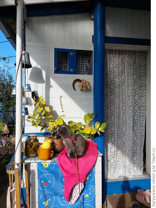 Солнышко осеннее пропустить низзя - греемся и наслаждаемся бабьим летом в деревне Бабино