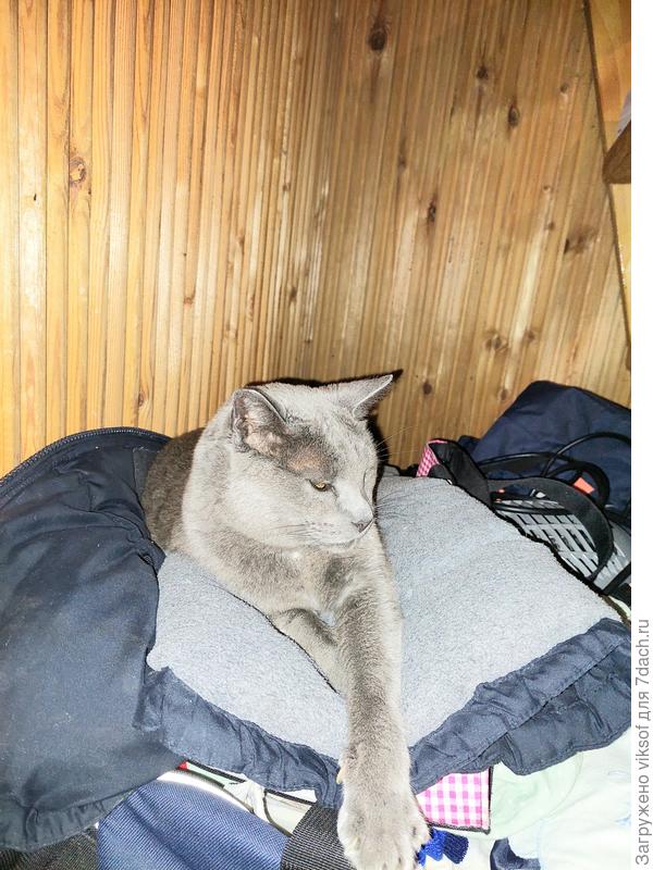 Но зимой на даче холодно