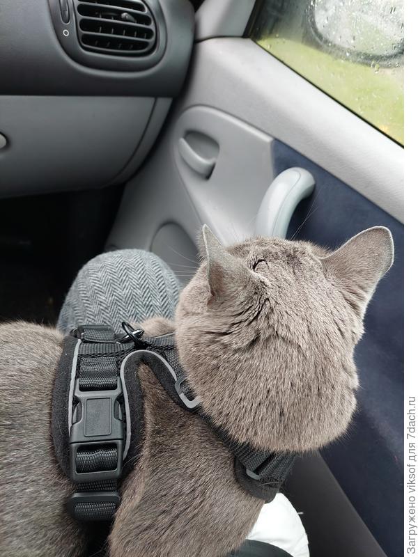 Дядя Витас уже переехал в городскую квартиру ,