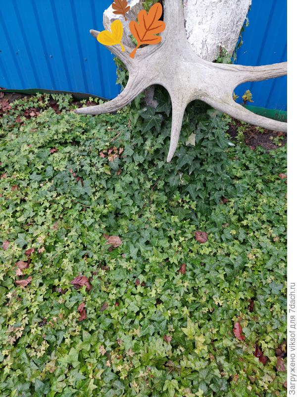 Плюс зелёный