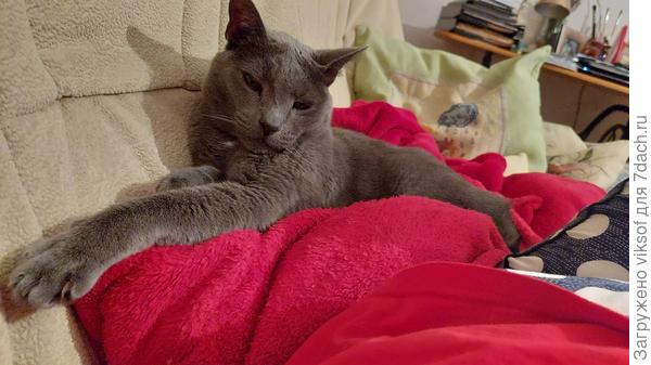 а это старожил Витас - мой любимчик, у нас нет такого чУдного лукошка, которым залюбовались мы