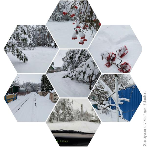 Последний ноябрьский день на даче