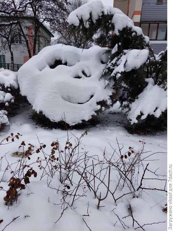 Зимний смайлик