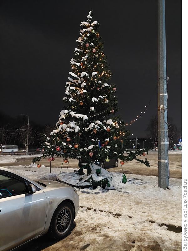 У нас редко бывает, когда новогодняя ёлка не в луже отражается, а снежком украшена