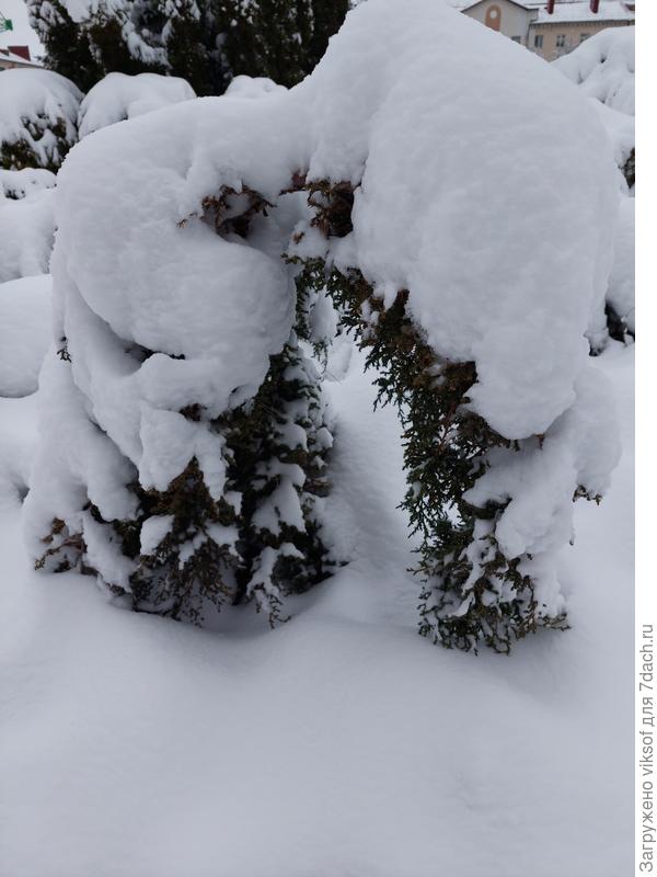 Две болтушки - хохотушки, их уж снегом замело, но! А им то все равно...