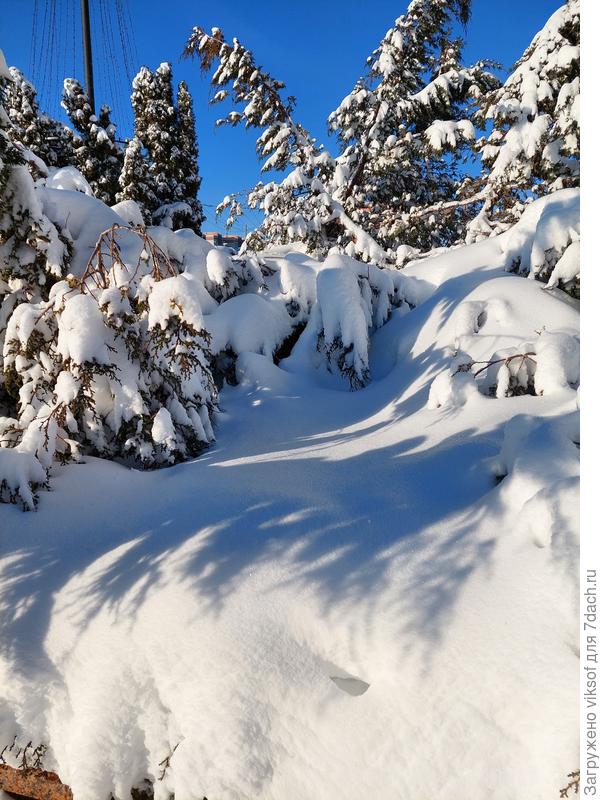 Какой же снег красивый и особенно чистый!