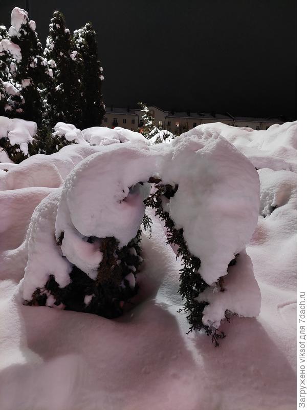 Семидачницы - болтушки так и болтают  и пока ещё  не тают