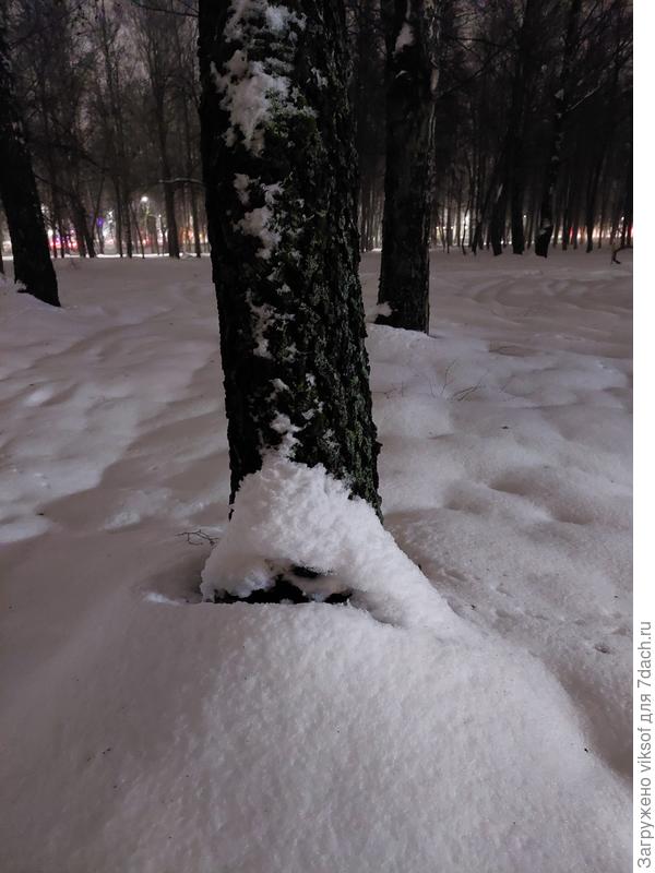 Но снег оседает и тяжёлым становится