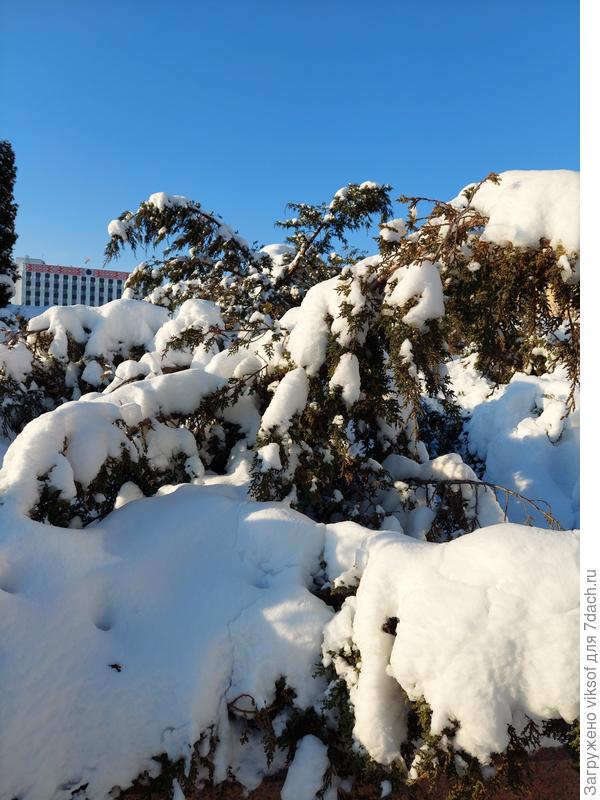 А я любуюсь!