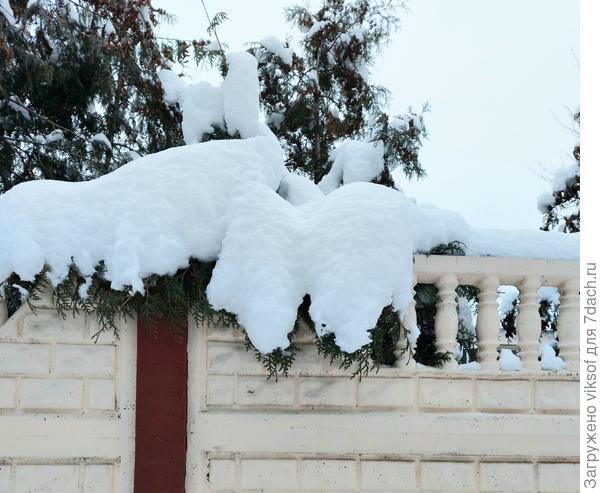 Зимушка - Зима проветривает свои воротники
