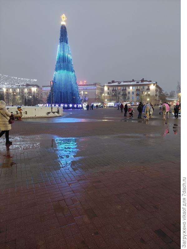 И вот в нашем городе дождь... Главная Ёлка в луже красуется