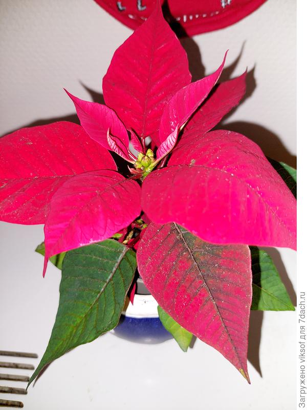 Всего тебе самого доброго!