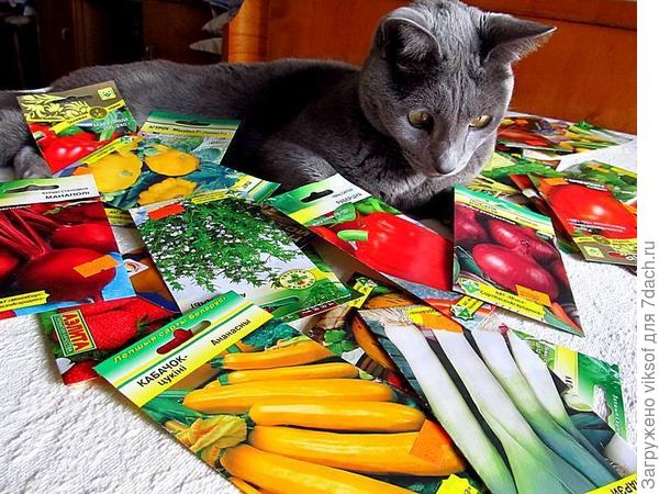 С Витасом уже шуршим пакетиками