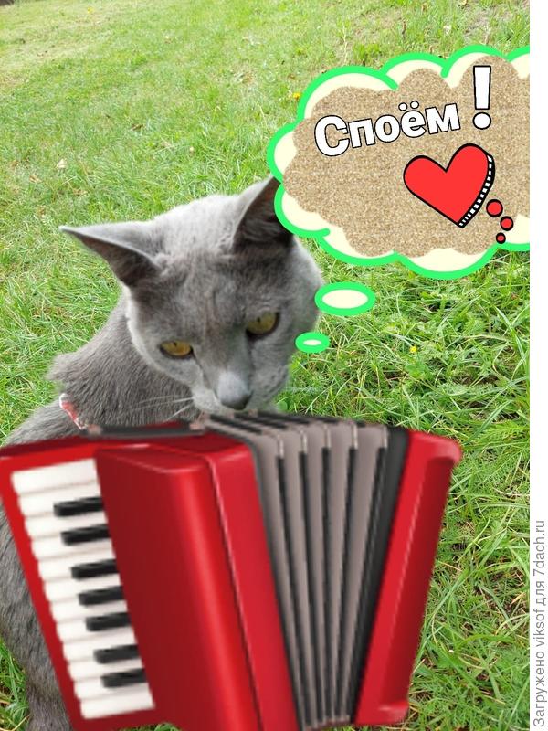 И в День рождения споём,  а Витас нам  сыграет! Как же ж к тебе без Витаса...