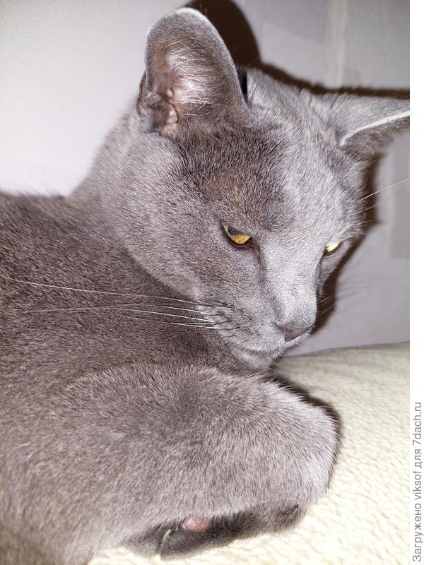 С утра нечёсаный...