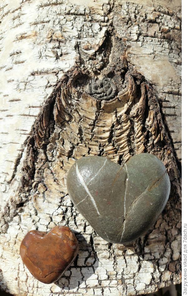 Это моя любовь!