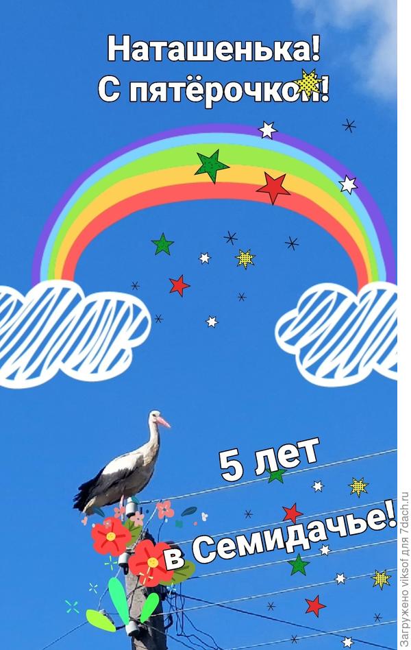 Дивный аист прилетал отдохнуть к нам на дачу