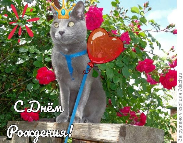 Мы с Витасом к тебе