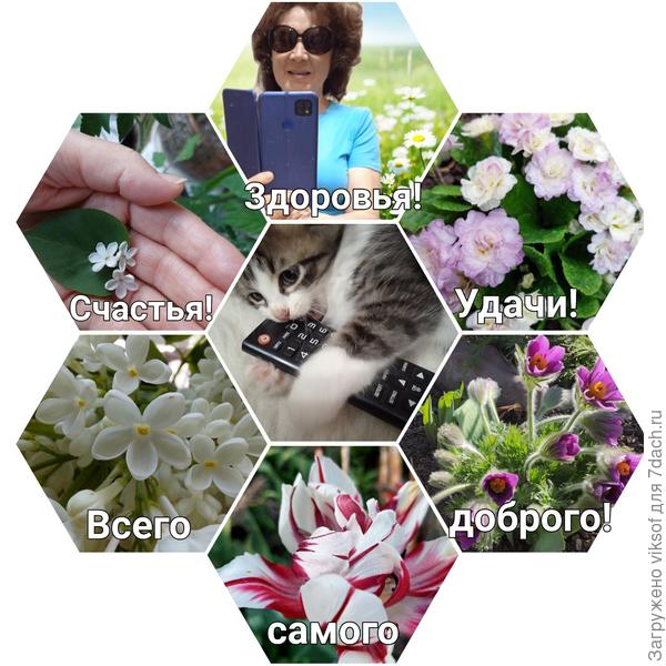 Я не удержалась и с удовольствием  сделала этот коллаж, не сердись, ладно!