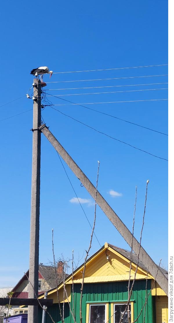 Сам столб у соседа, а опора у нас