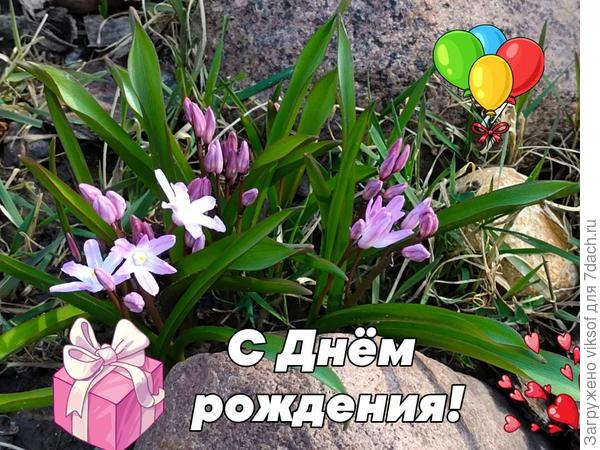 Светочка! С Днём рождения!