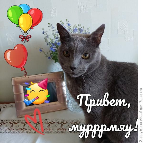 И всего тебе самого доброго!