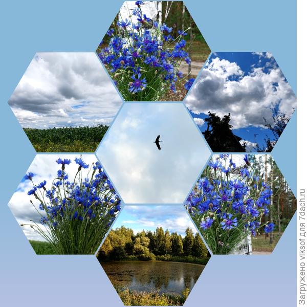 Всем нам мирного неба@